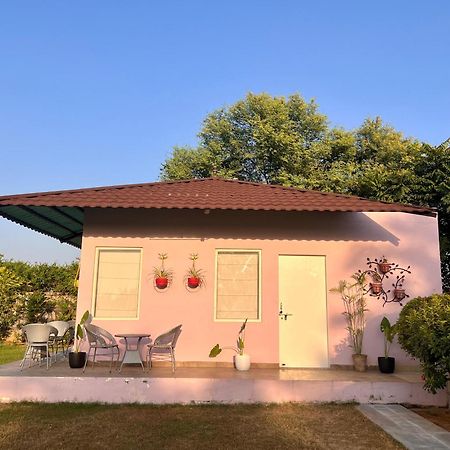 Gazibo Elegant Farm Stay With Swimming Pool Dźajpur Zewnętrze zdjęcie